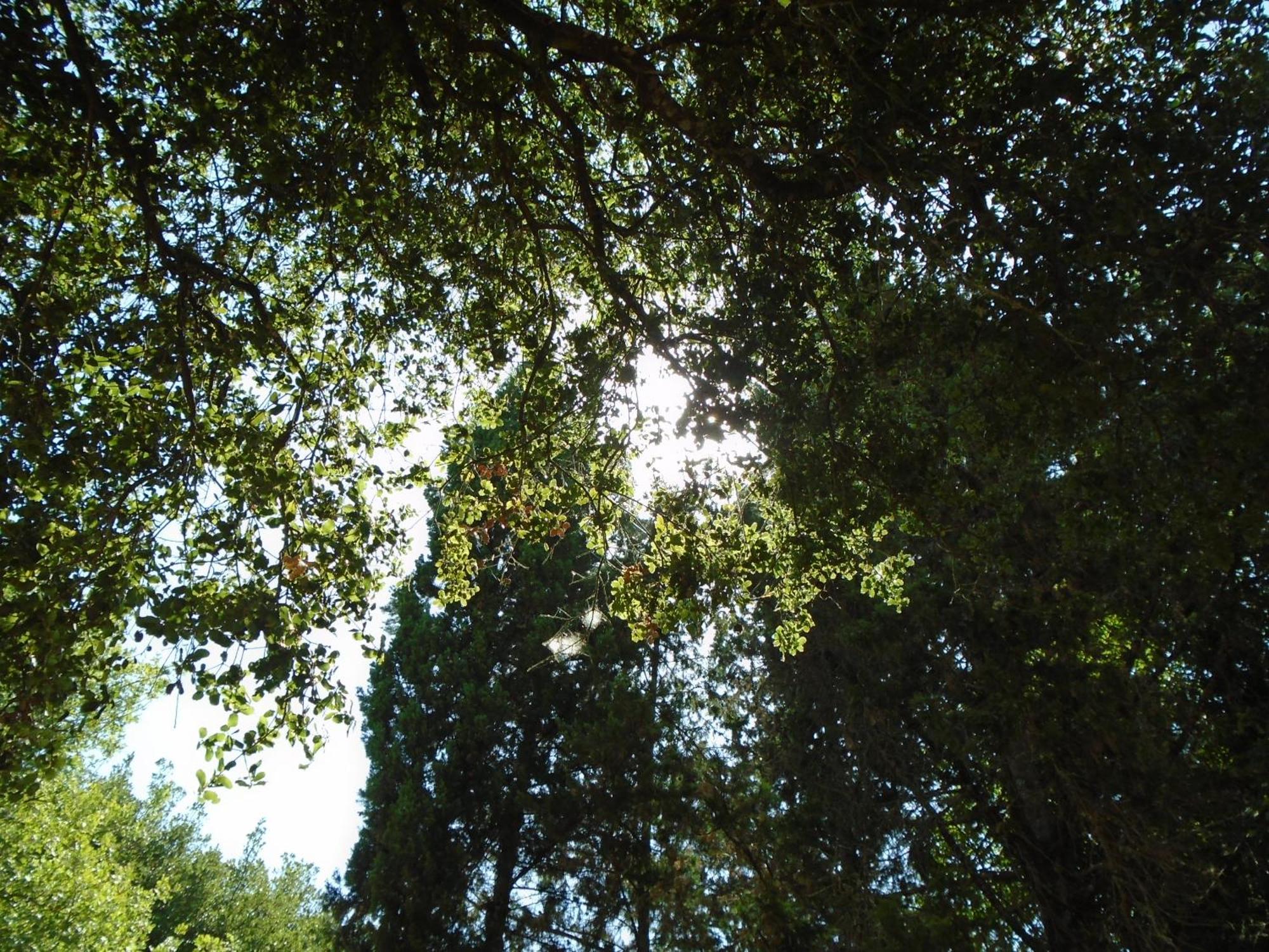 ησυχία - φύση