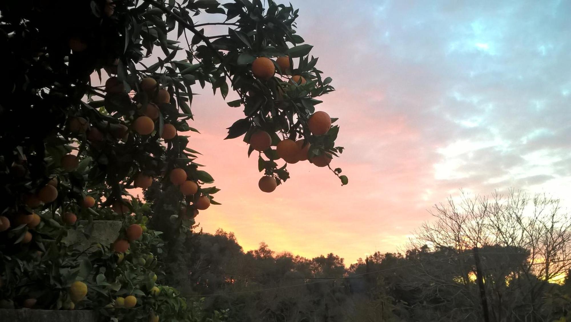 Holiday home ησυχία - φύση Kastania (Corfu)